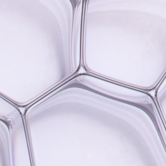 BENZOIC ACID